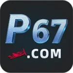 P67 Game