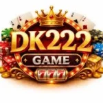 DK222 Game