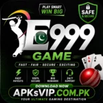 E999 Game